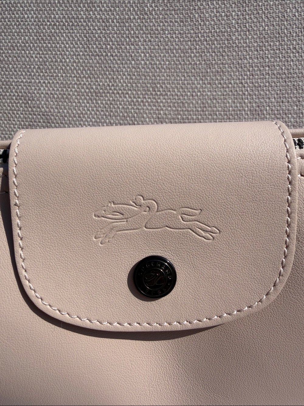 Longchamp Small Light Pink Leather Crossbody Bag Silver Hardware - Picture 4 of 14
